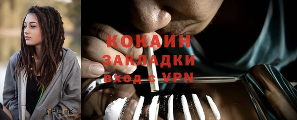 ГАЛЛЮЦИНОГЕННЫЕ ГРИБЫ Касимов