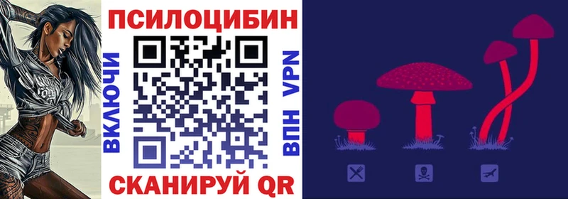 Псилоцибиновые грибы GOLDEN TEACHER  Купить закладки  Ветлуга 